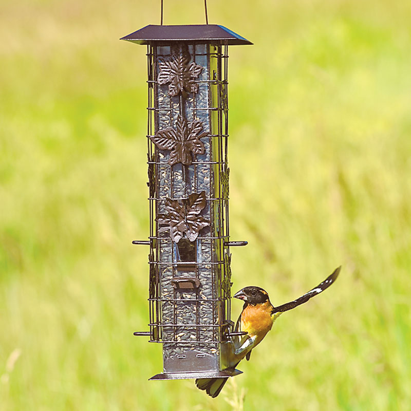 Squirrel-Be-Gone Wild Bird Feeder